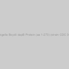 Image of Recombinant Shigella Boydii dapB Protein (aa 1-273) (strain CDC 3083-94 / BS512)